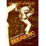 هنر دینامیکی شکستن اشیا