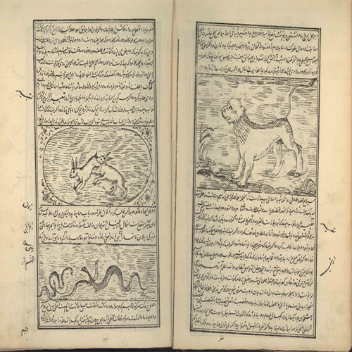 کتاب خواص الحیوان