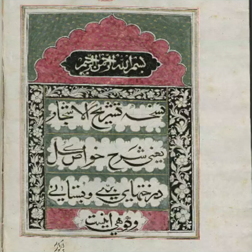 تشریح الاشجار